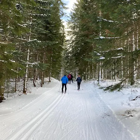 Almet Studio 404 * Donovaly