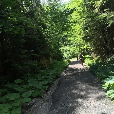 Apartmán Almet Studio 404 *